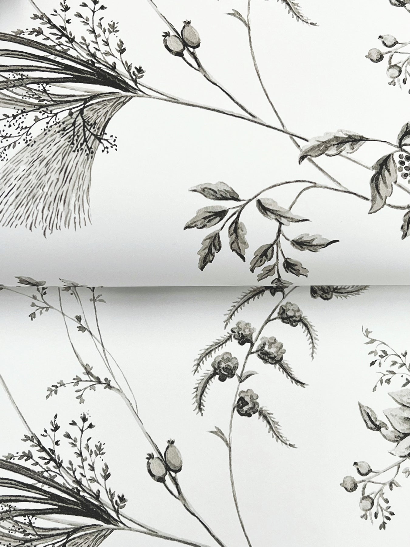MX9682 Floral Lace Black Astoria Wallpaper by York Wallcoverings