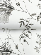 MX9682 Floral Lace Black Astoria Wallpaper by York Wallcoverings