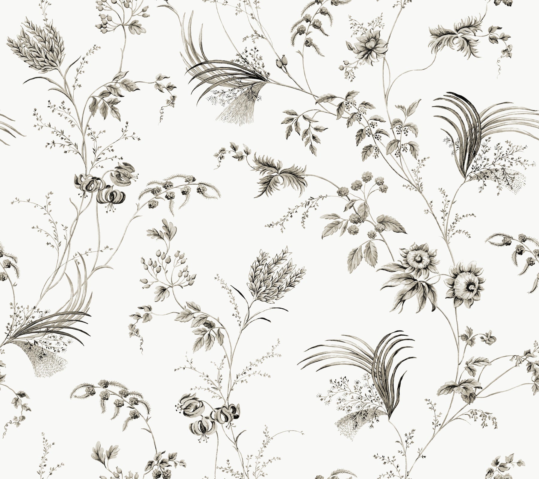 MX9682 Floral Lace Black Astoria Wallpaper by York Wallcoverings