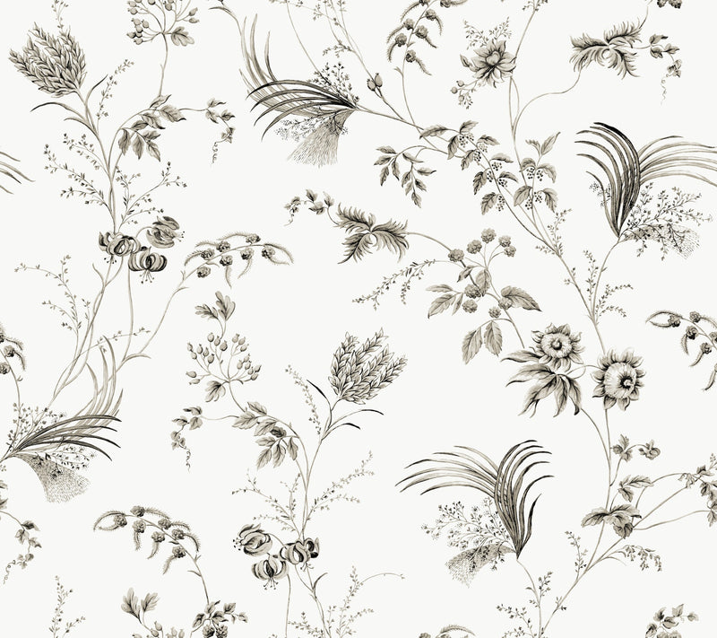 MX9682 Floral Lace Black Astoria Wallpaper by York Wallcoverings