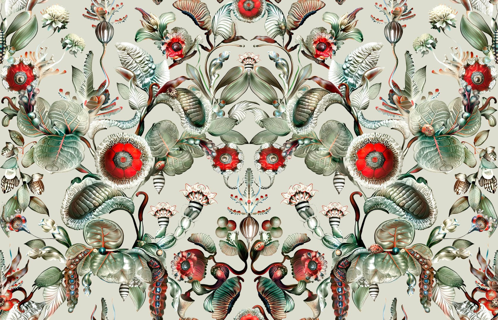 MO5000 Coccinella Bella Stone Grey Wallpaper by Moooi