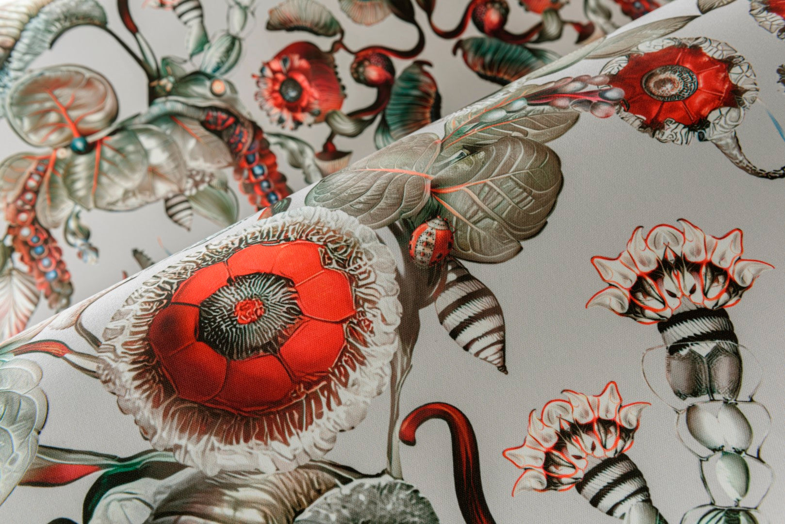 MO5000 Coccinella Bella Stone Grey Wallpaper by Moooi