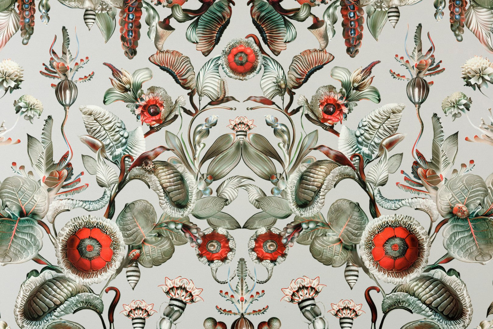 MO5000 Coccinella Bella Stone Grey Wallpaper by Moooi
