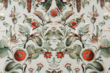 MO5000 Coccinella Bella Stone Grey Wallpaper by Moooi