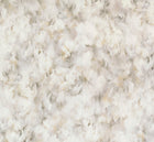 MO5012 Silk Bombis Moss Wallpaper by Moooi