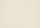 MO5041 Techno Bee Oyster White Wallpaper by Moooi