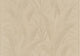 Aranya Champagne Mysuru Wallpaper by Arte