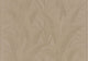 Aranya Toast Mysuru Wallpaper by Arte