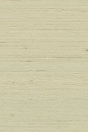 Mandya Nougat Mysuru Wallpaper by Arte