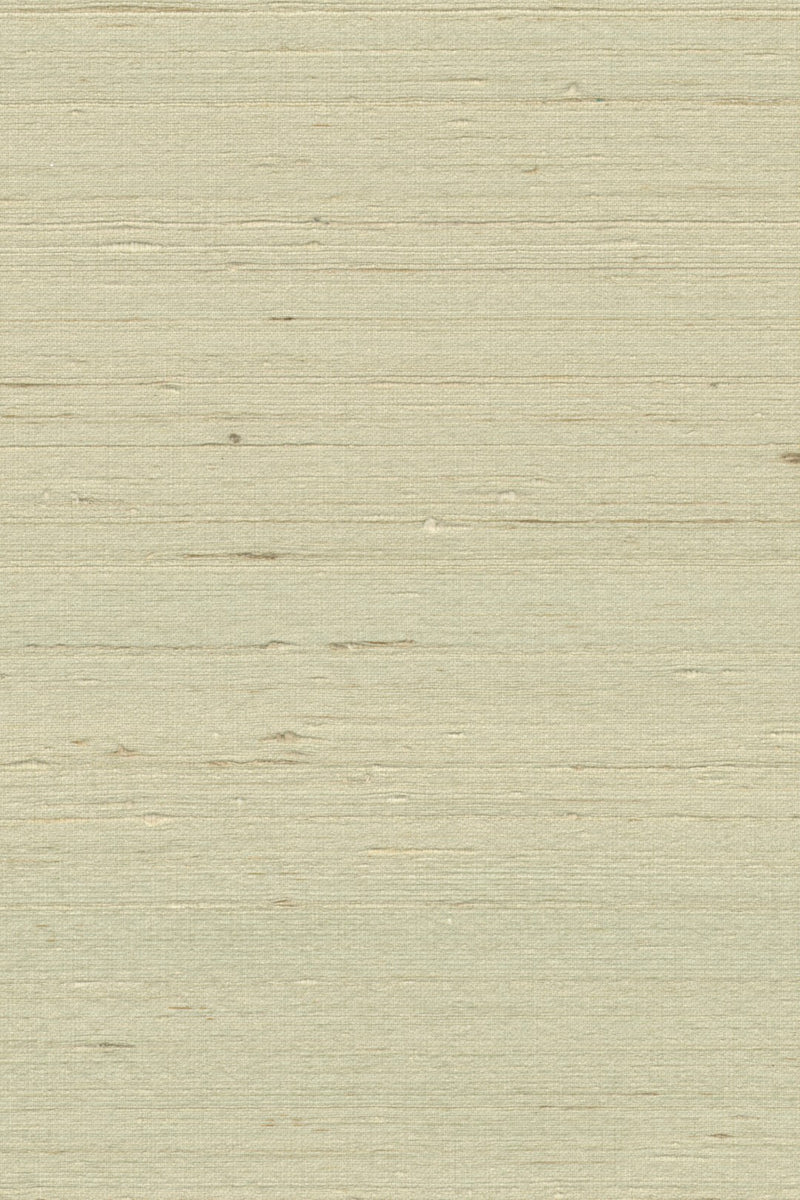 Mandya Nougat Mysuru Wallpaper by Arte