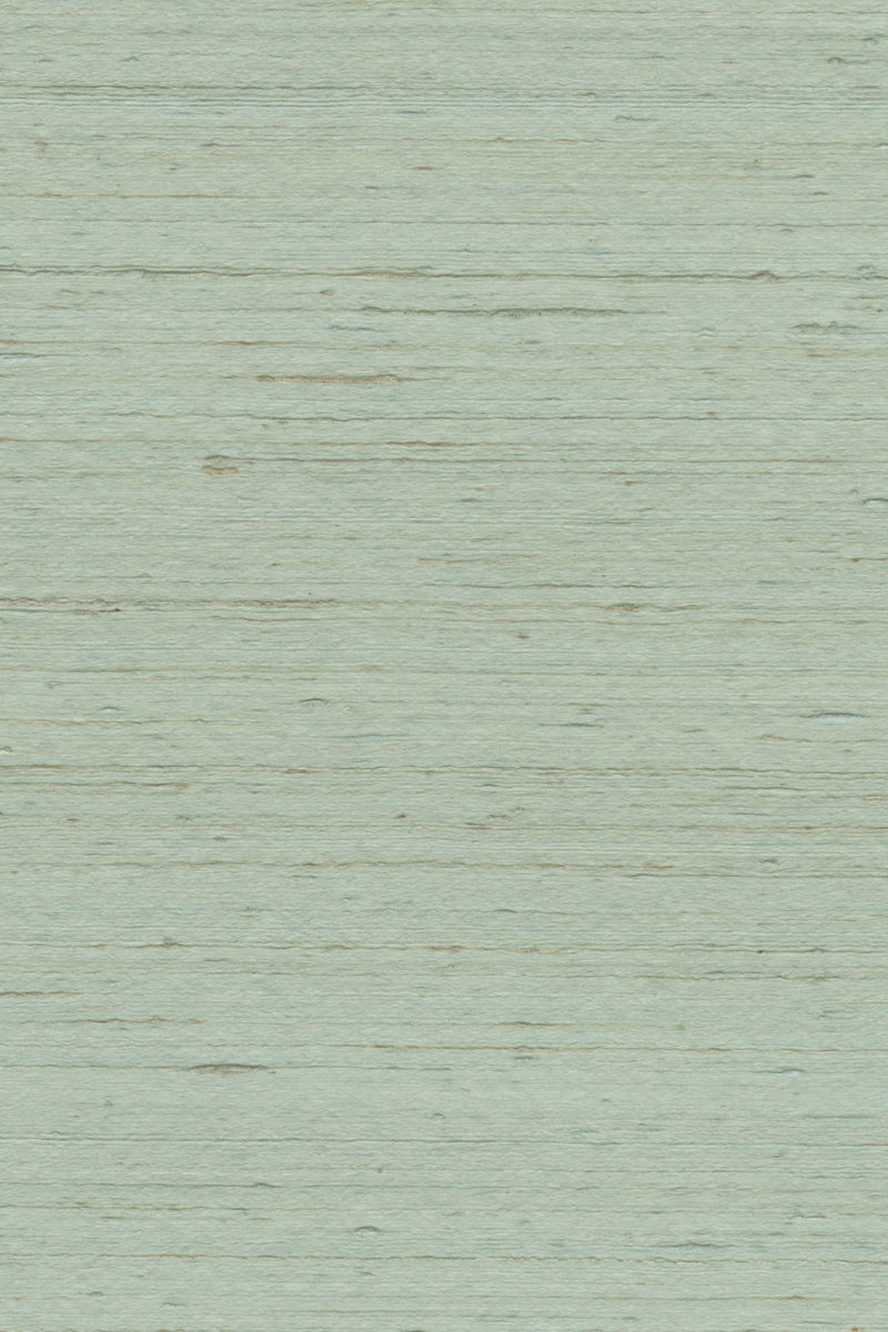 Mandya Soft Teal Mysuru Wallpaper by Arte