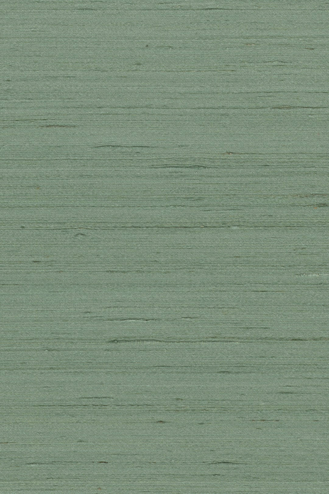 Mandya Juniper Mysuru Wallpaper by Arte