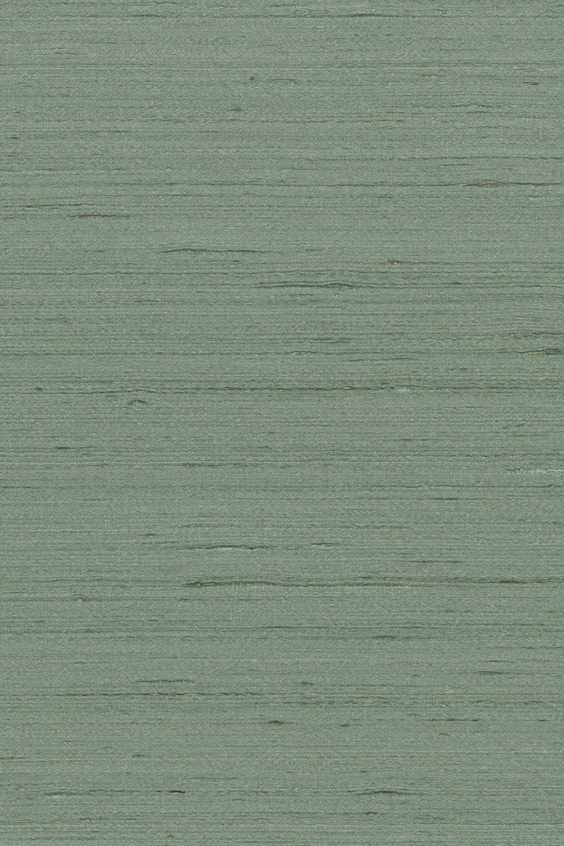 Mandya Juniper Mysuru Wallpaper by Arte