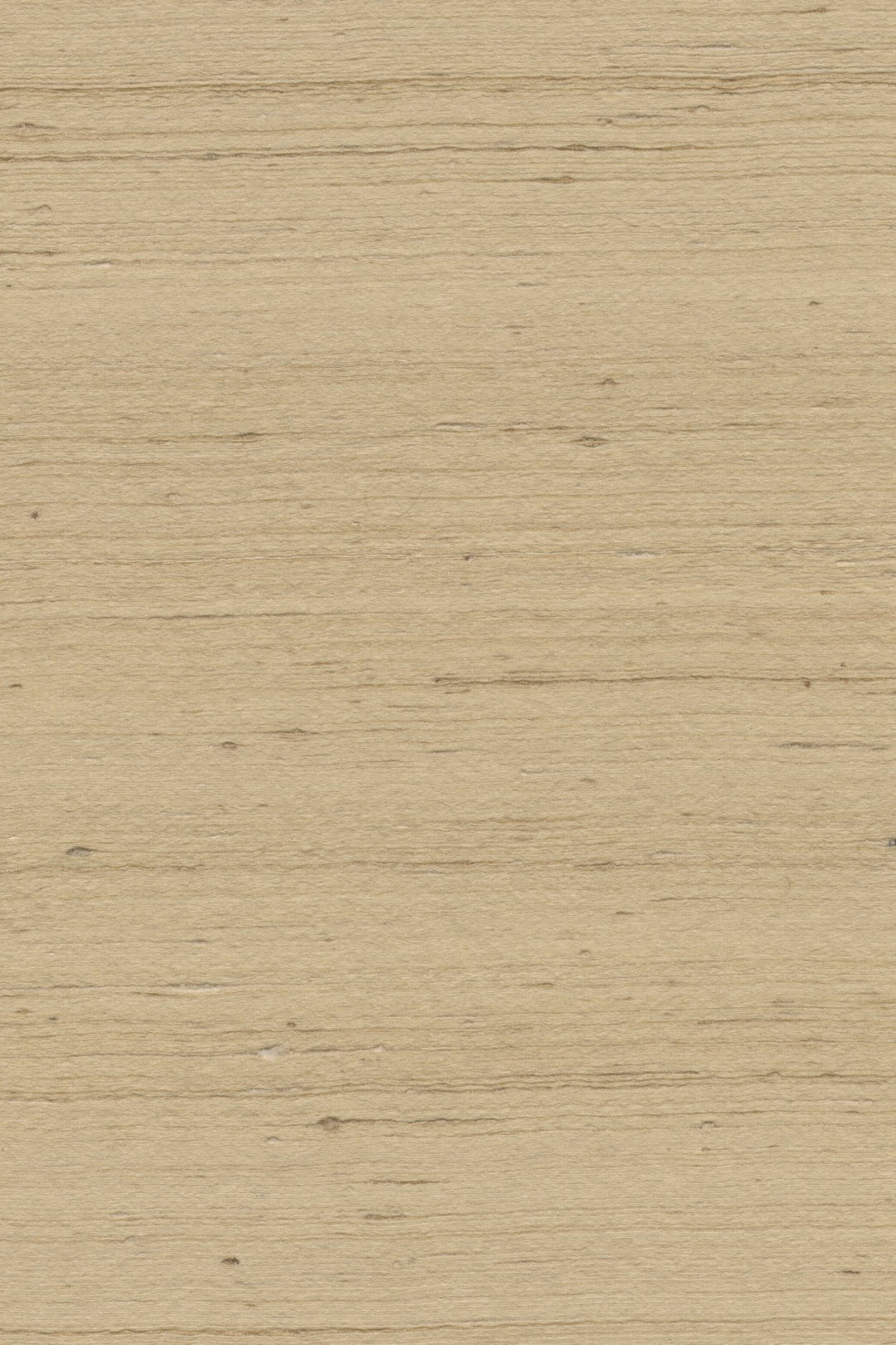Mandya Sand Mysuru Wallpaper by Arte