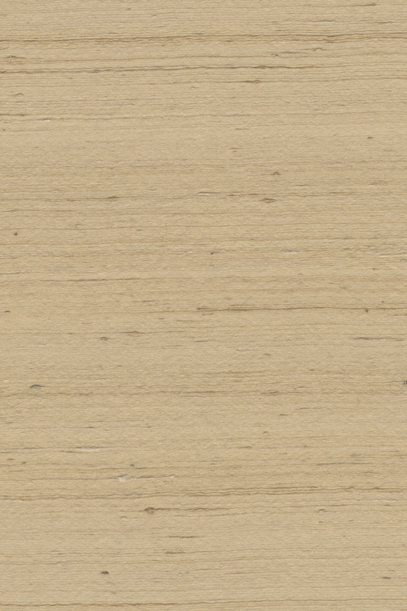 Mandya Sand Mysuru Wallpaper by Arte