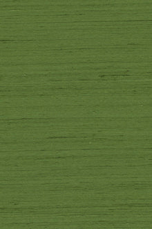 Mandya Evergreen Mysuru Wallpaper by Arte