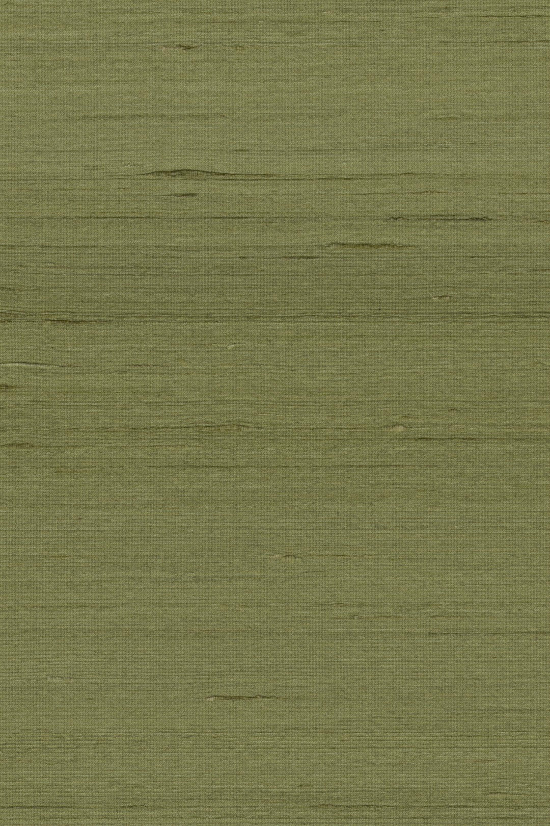 Mandya Olive Mysuru Wallpaper by Arte