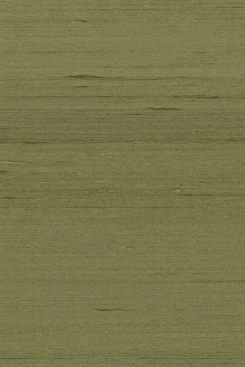 Mandya Olive Mysuru Wallpaper by Arte