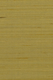 Mandya Ochre Mysuru Wallpaper by Arte