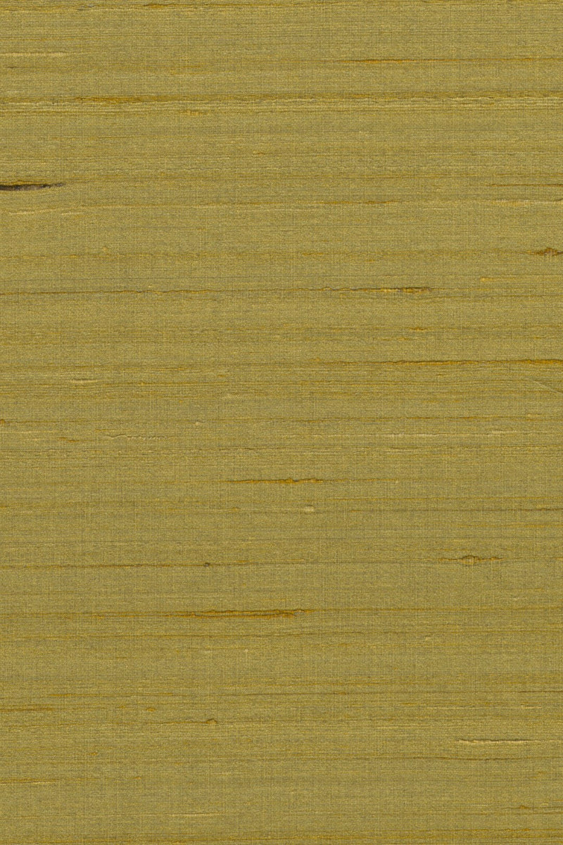 Mandya Ochre Mysuru Wallpaper by Arte