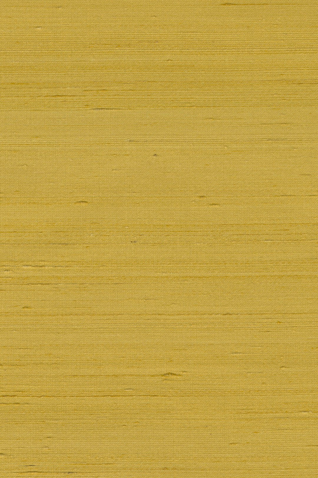 Mandya Lemon Curd Mysuru Wallpaper by Arte