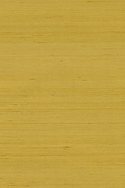Mandya Lemon Curd Mysuru Wallpaper by Arte