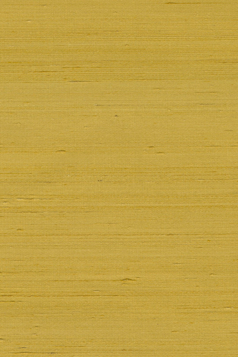 Mandya Lemon Curd Mysuru Wallpaper by Arte