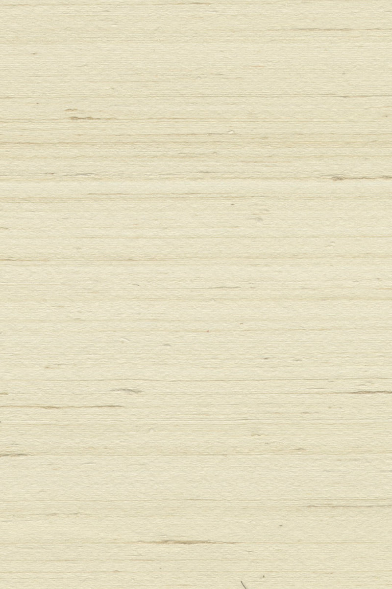 Mandya Off-White Mysuru Wallpaper by Arte