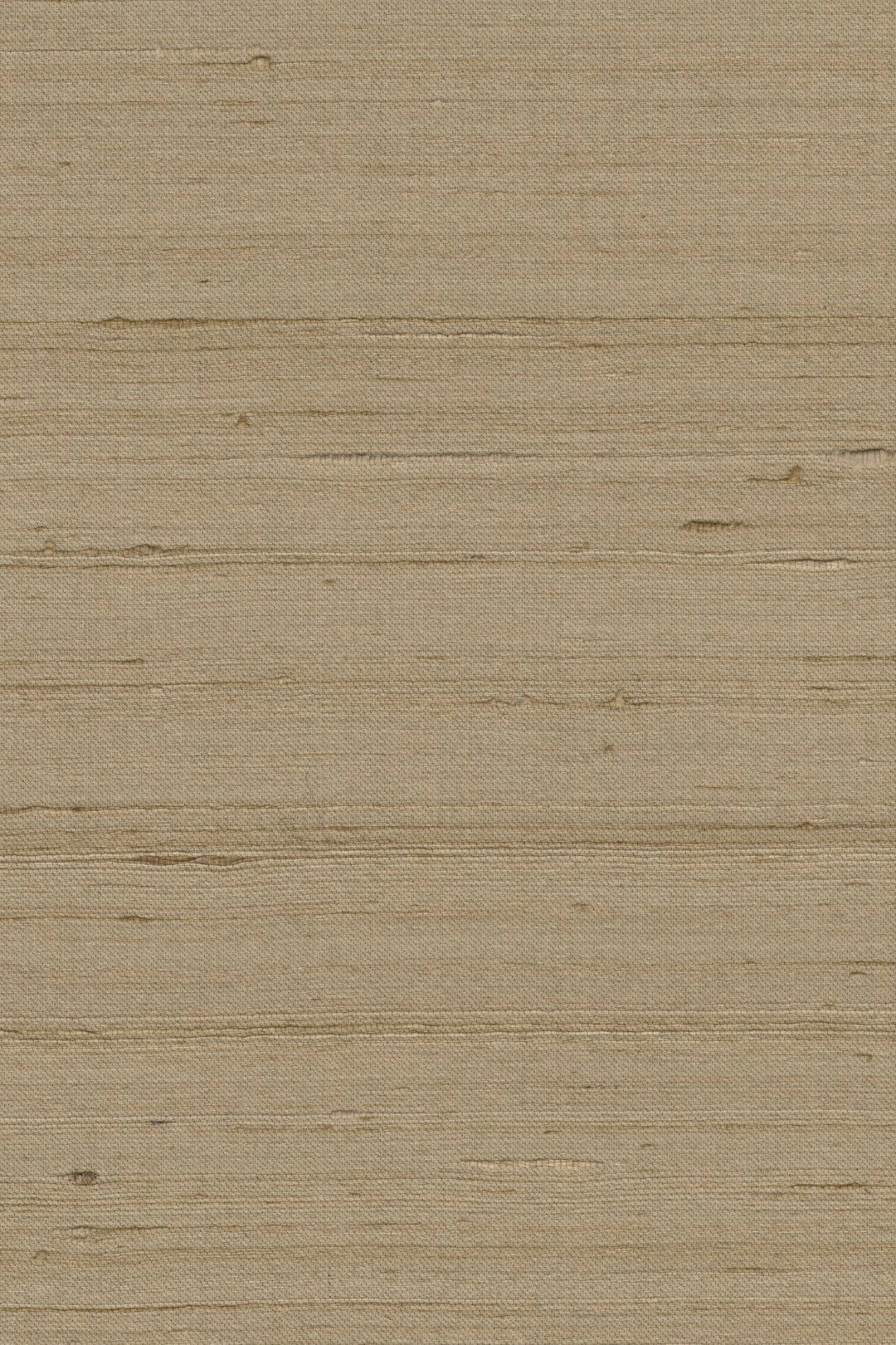 Mandya Hazel Mysuru Wallpaper by Arte