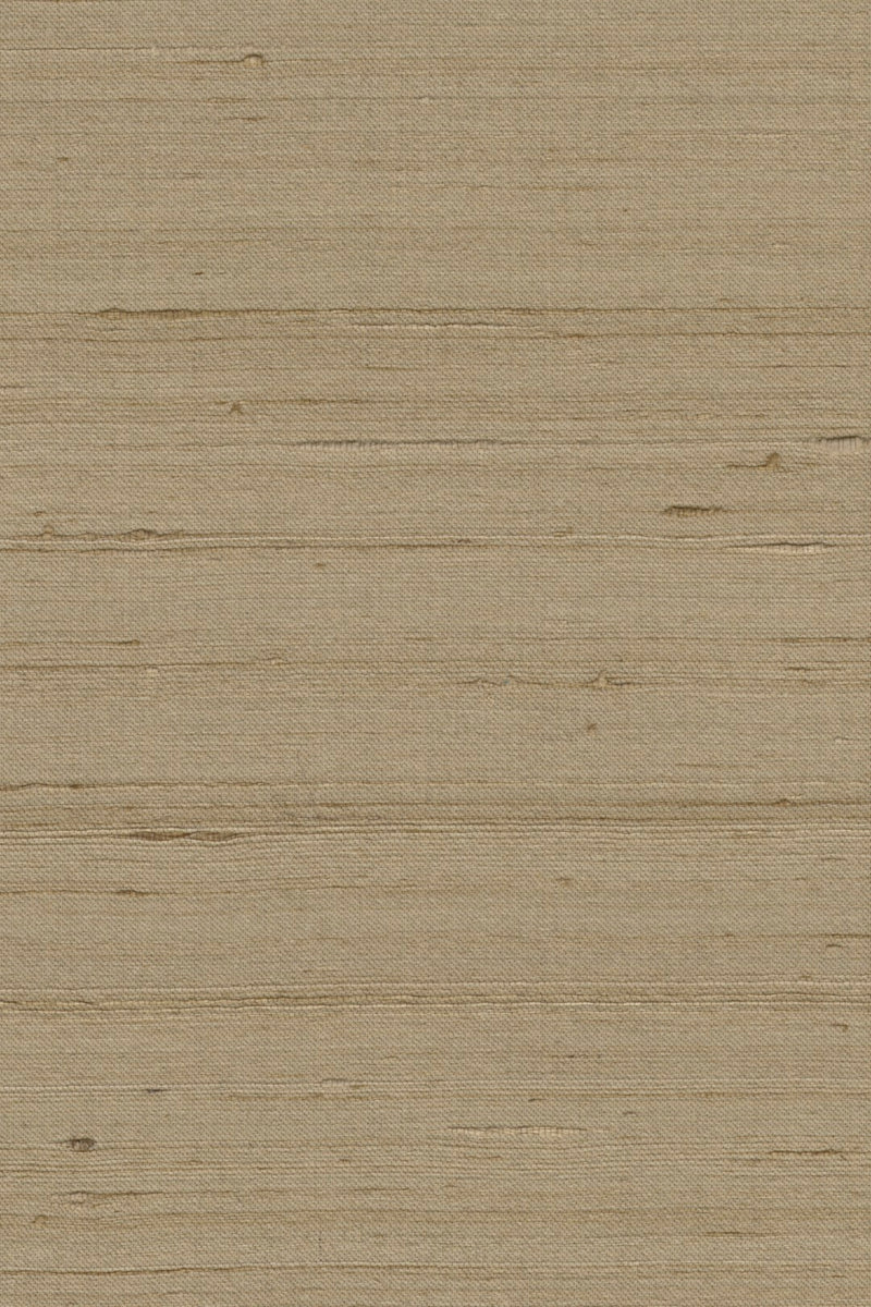 Mandya Hazel Mysuru Wallpaper by Arte