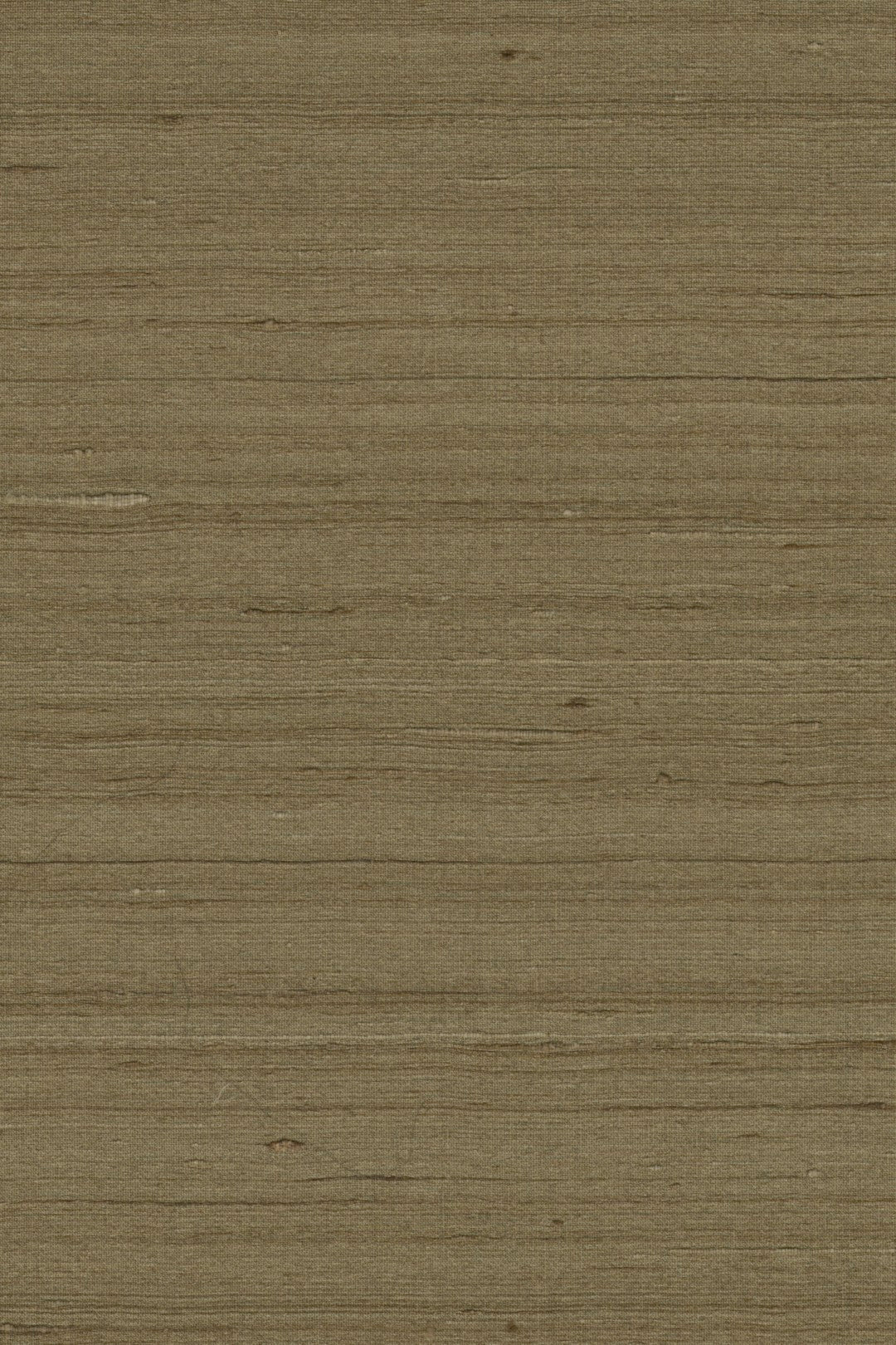 Mandya Bark Mysuru Wallpaper by Arte