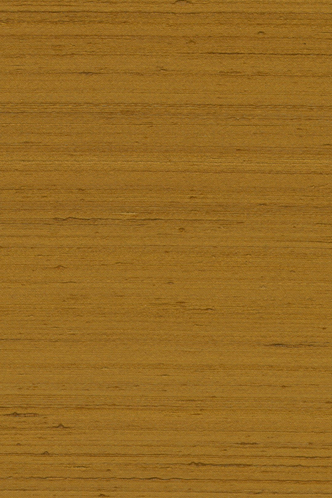 Mandya Cinnamon Mysuru Wallpaper by Arte