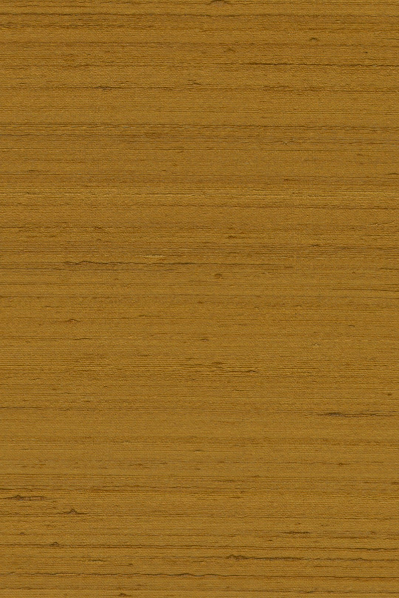 Mandya Cinnamon Mysuru Wallpaper by Arte