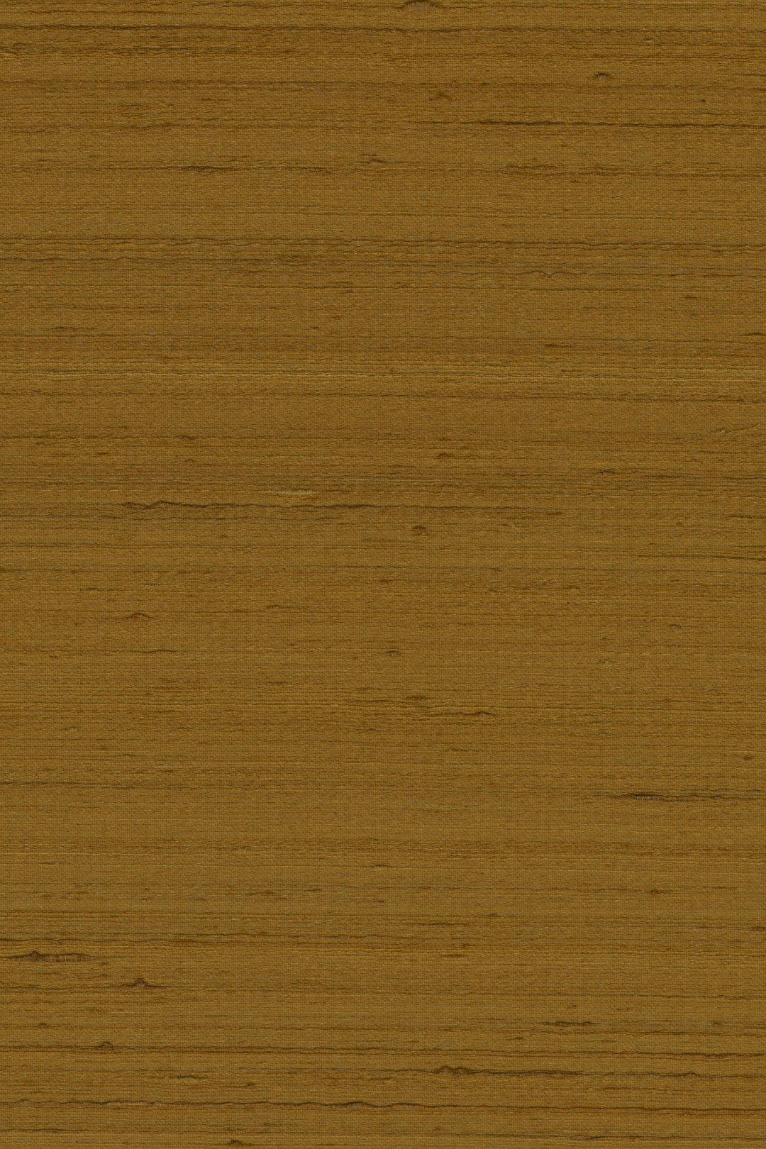 Mandya Tartufo Mysuru Wallpaper by Arte