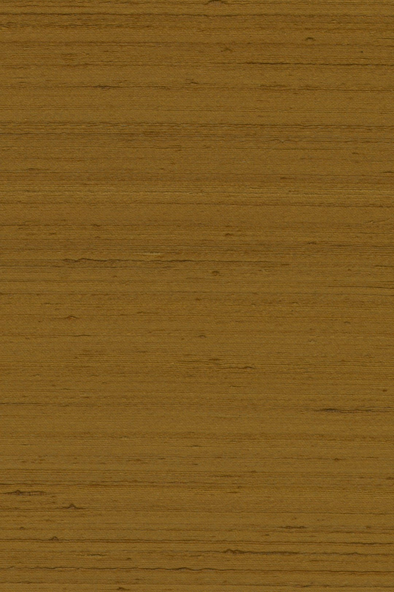 Mandya Tartufo Mysuru Wallpaper by Arte