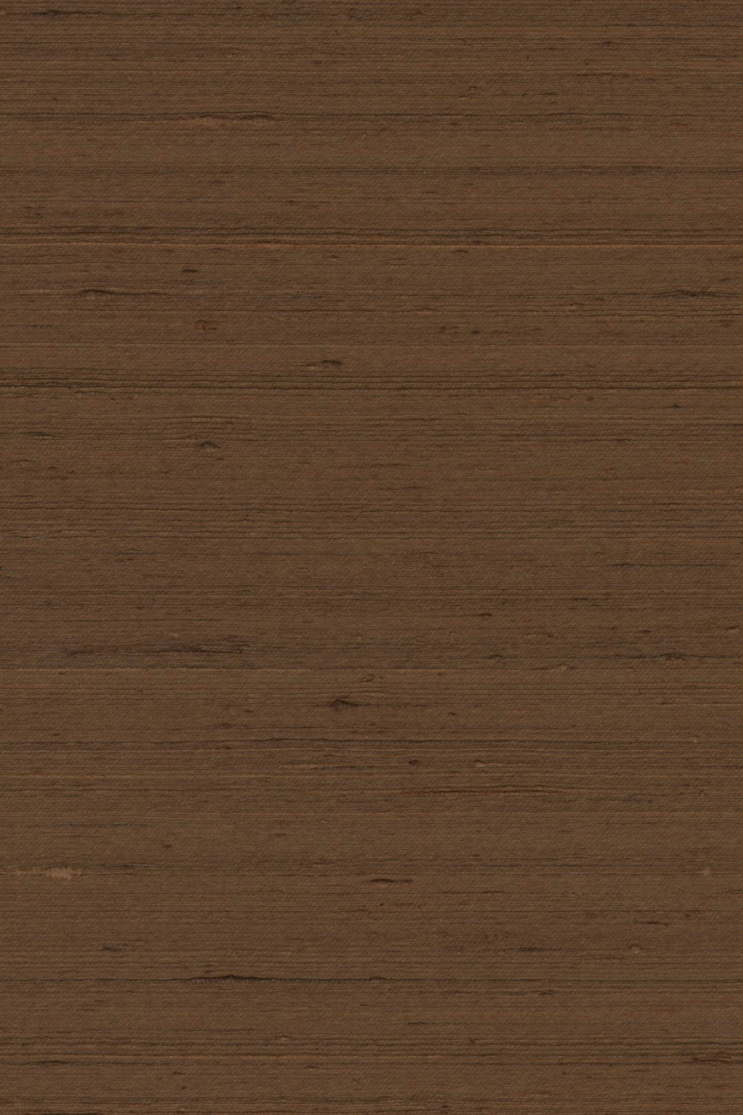 Mandya Cocoa Mysuru Wallpaper by Arte