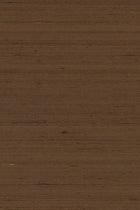 Mandya Cocoa Mysuru Wallpaper by Arte