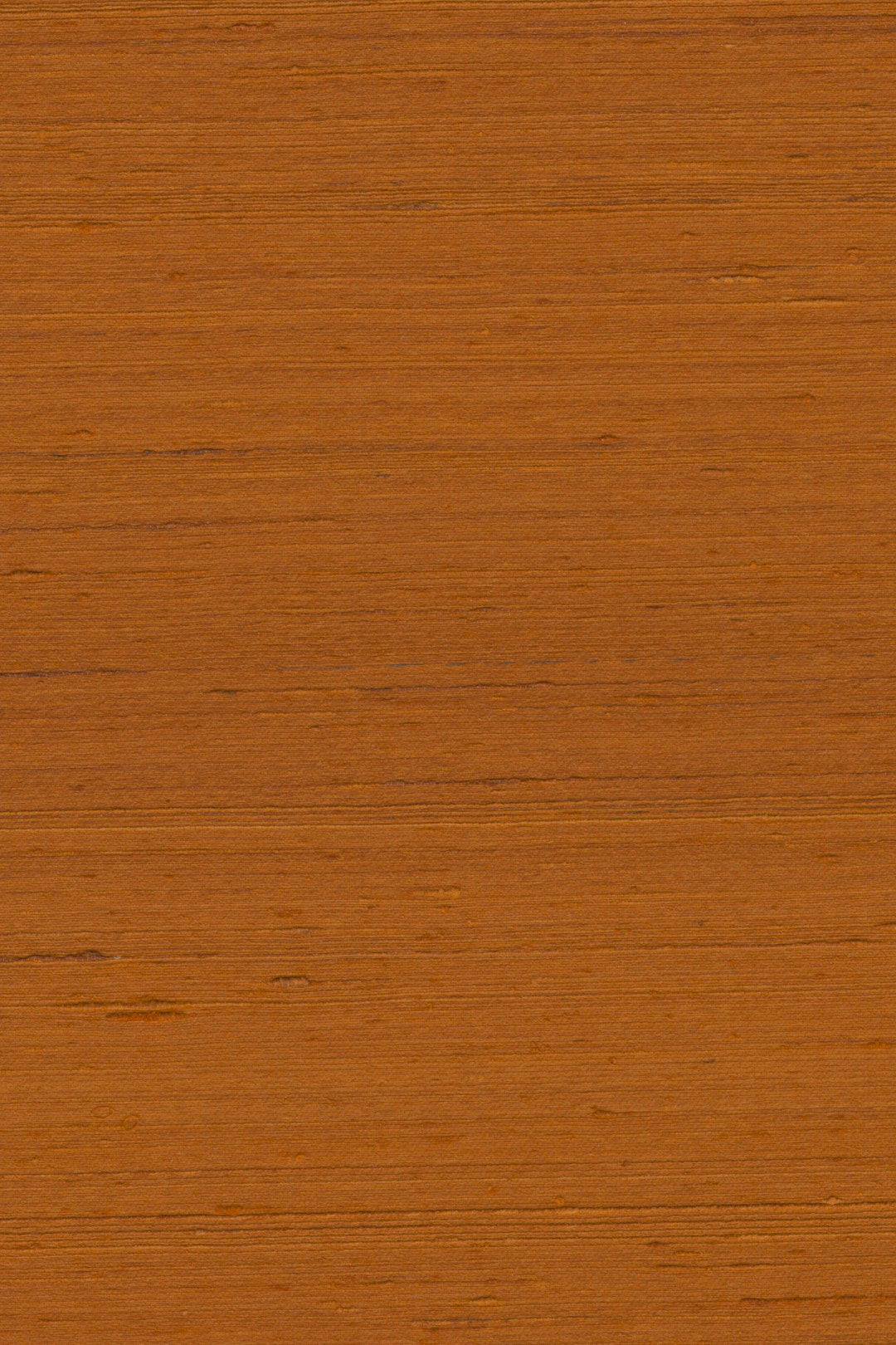 Mandya Spice Mysuru Wallpaper by Arte