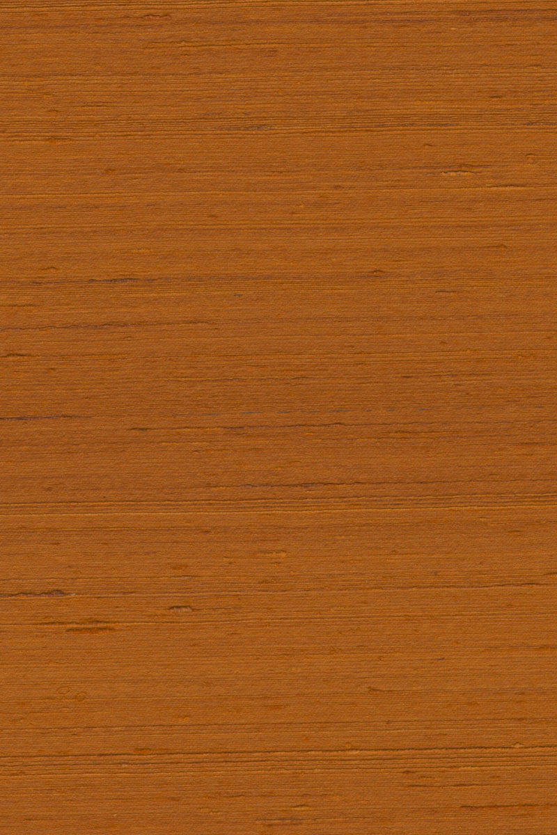 Mandya Spice Mysuru Wallpaper by Arte