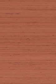 Mandya Peach Mysuru Wallpaper by Arte