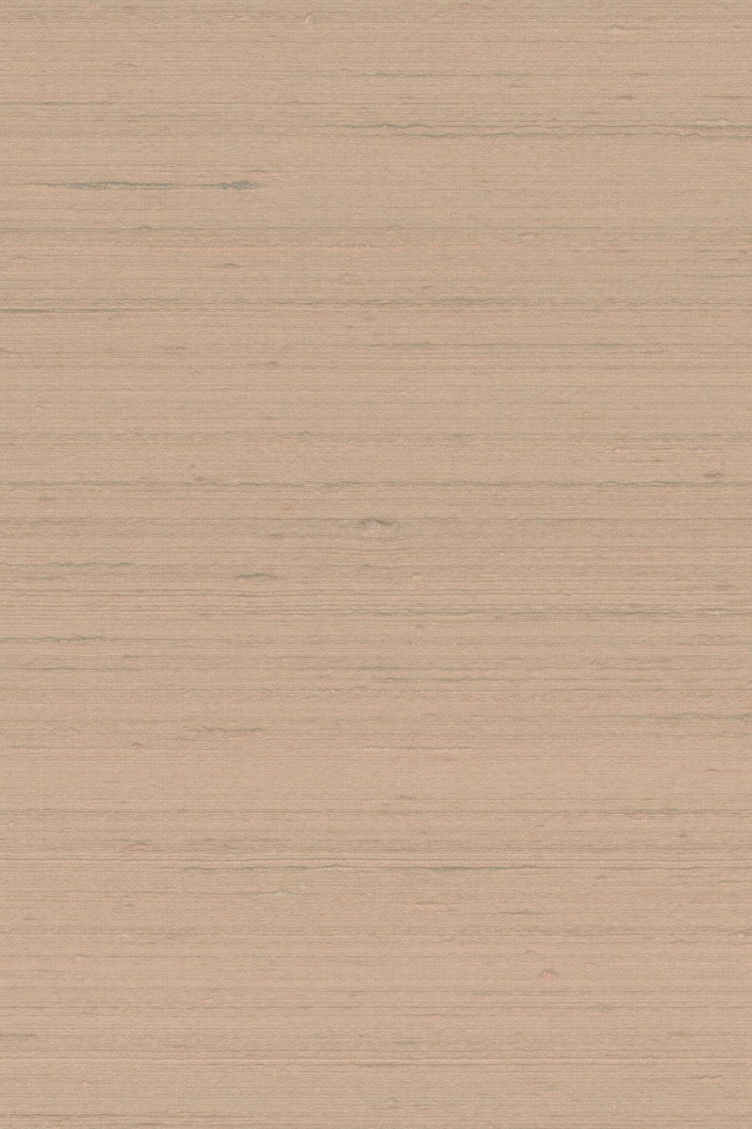 Mandya Blush Mysuru Wallpaper by Arte