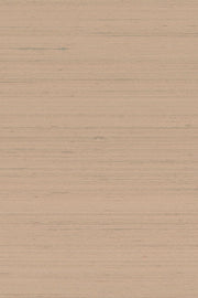 Mandya Blush Mysuru Wallpaper by Arte