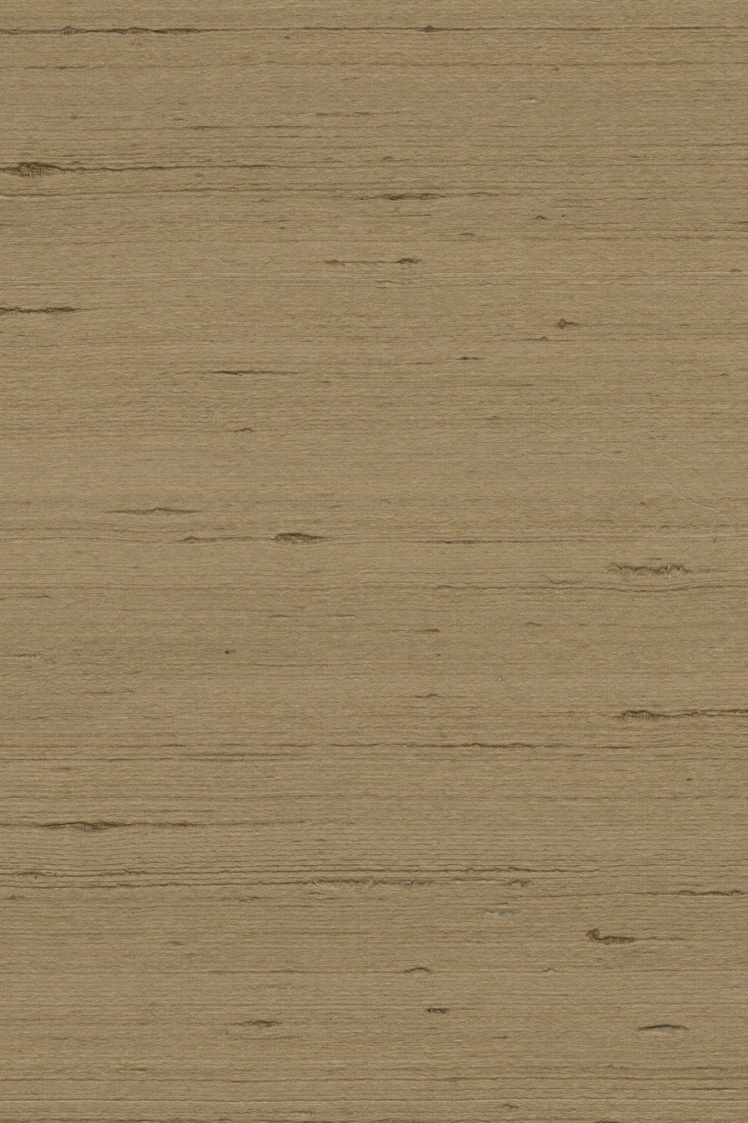 Mandya Oak Mysuru Wallpaper by Arte