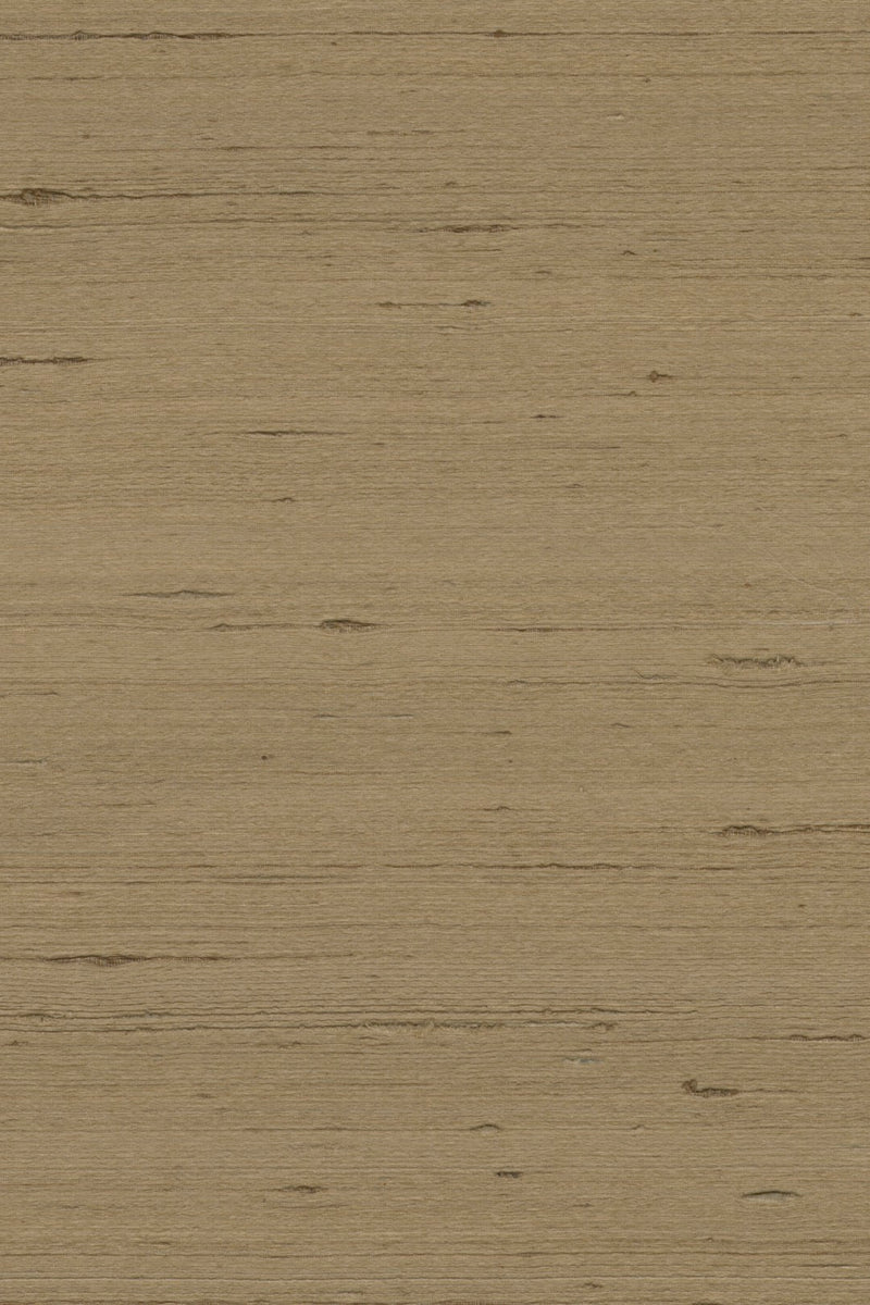 Mandya Oak Mysuru Wallpaper by Arte