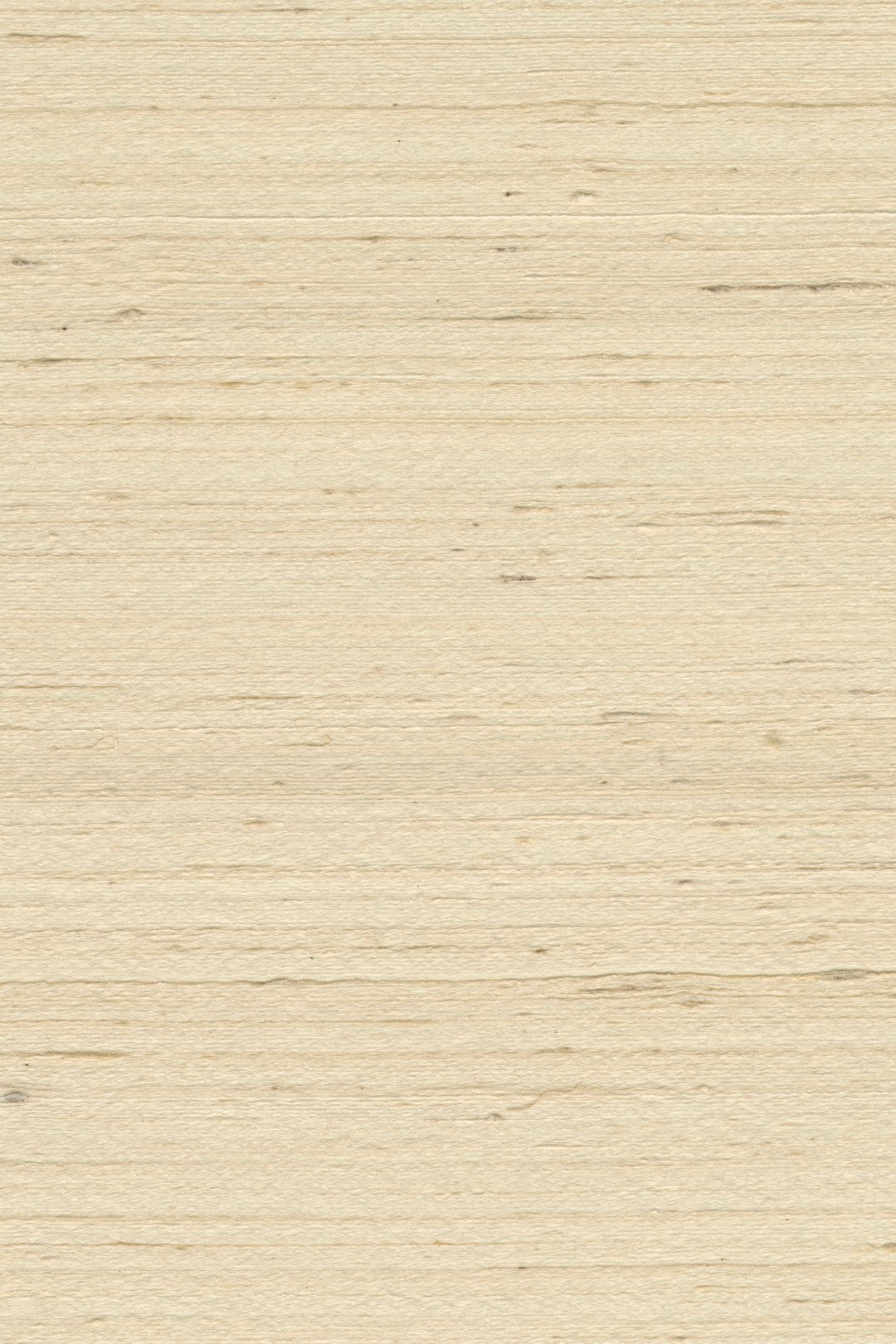 Mandya Bone Mysuru Wallpaper by Arte