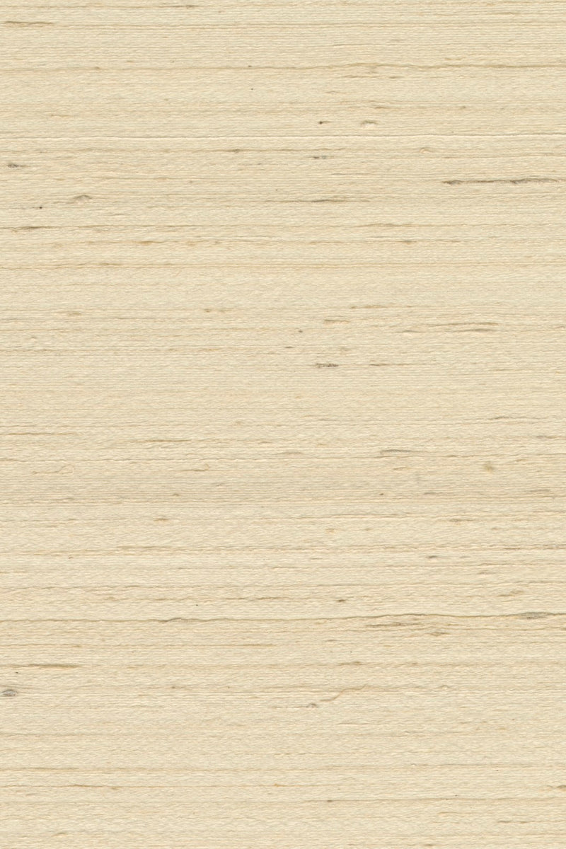 Mandya Bone Mysuru Wallpaper by Arte