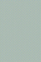 NAS-058-068-049 Nova and Sol Roll II Wallpaper by Josephine Munsey