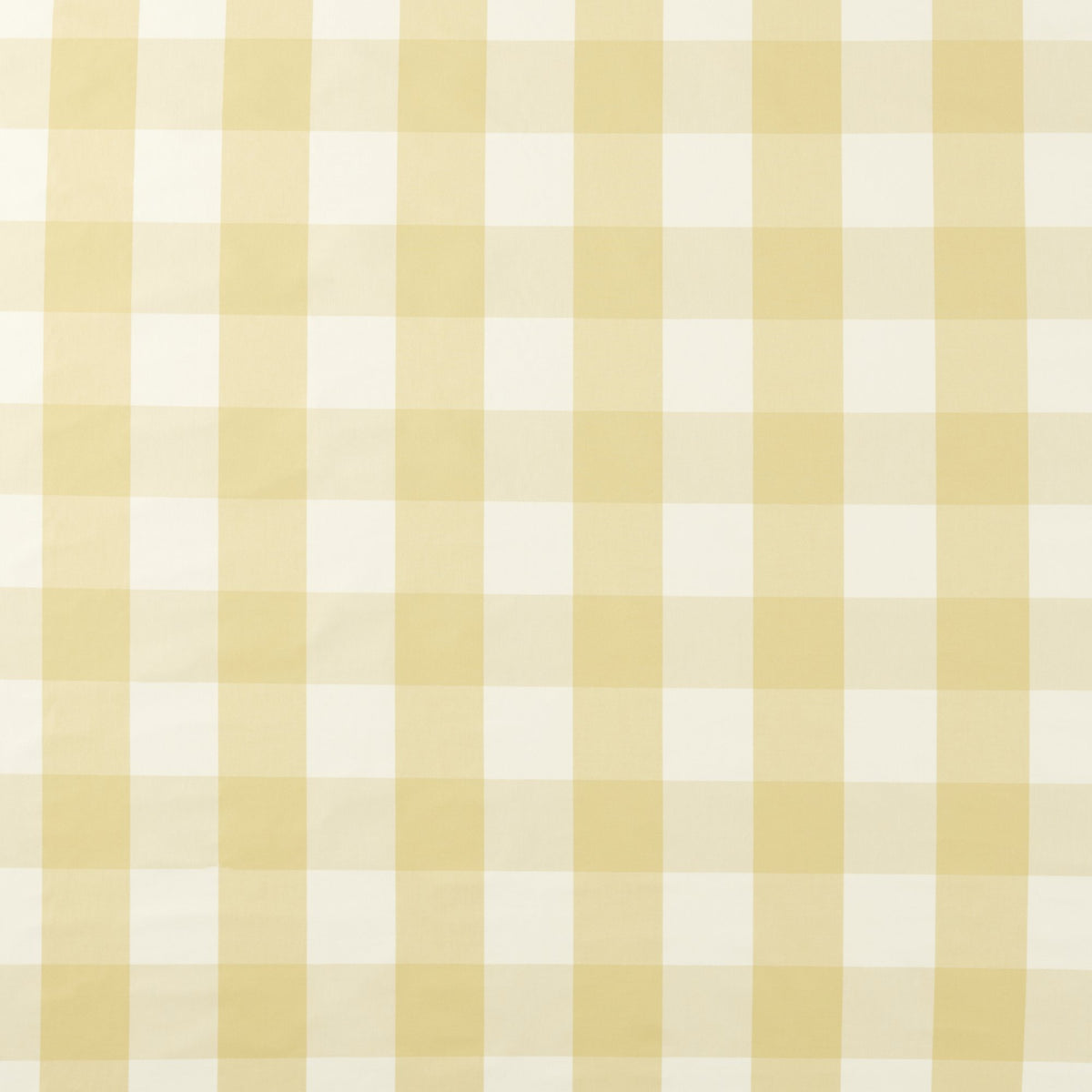 NCEN134795 Central Check Buttercup Central Checks & Stripes Fabric by Scion