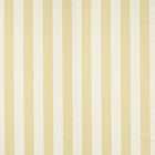 NCEN134796 Central Stripe Buttercup Central Checks & Stripes Fabric by Scion