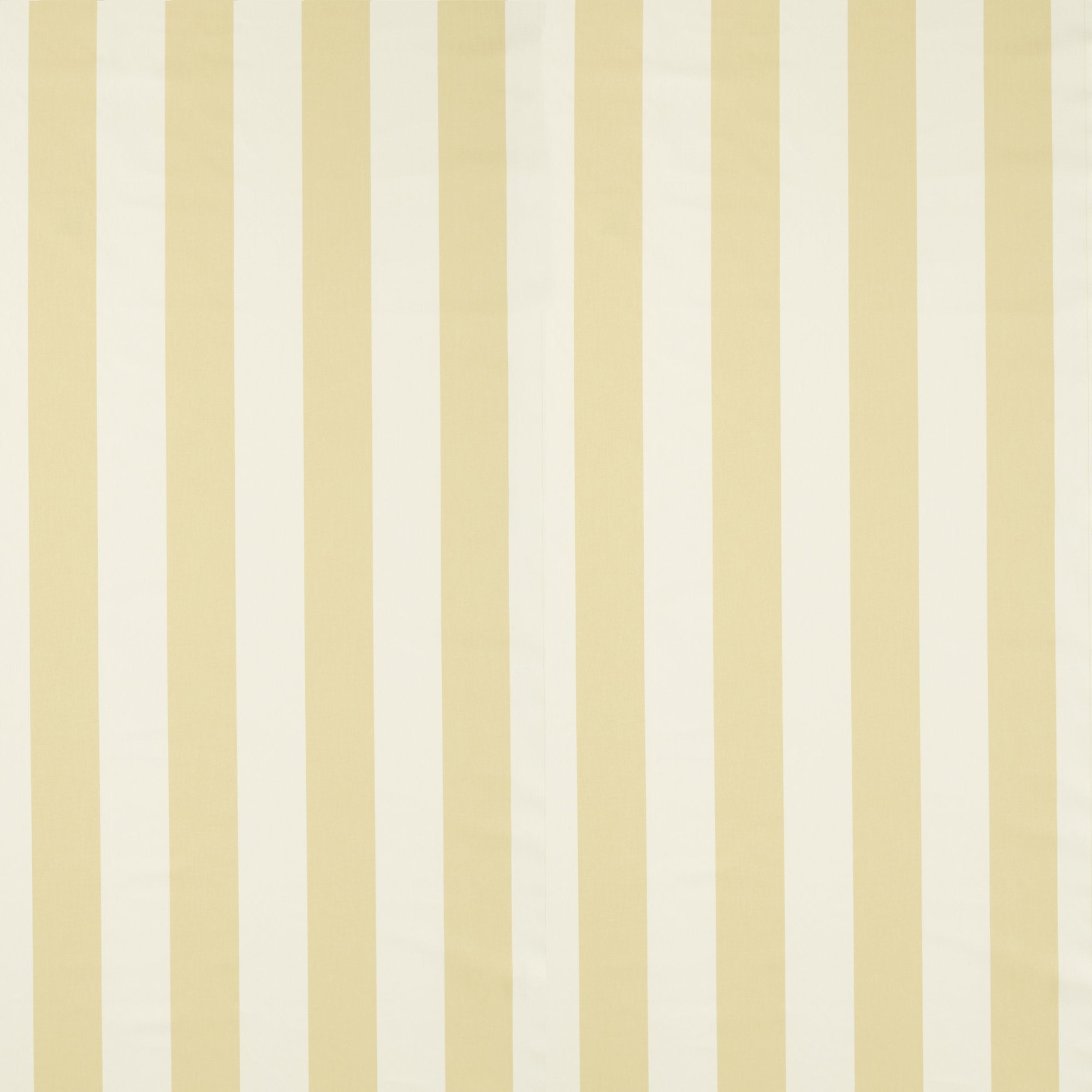 NCEN134796 Central Stripe Buttercup Central Checks & Stripes Fabric by Scion